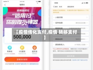 【疫情传化支付,疫情 转移支付】