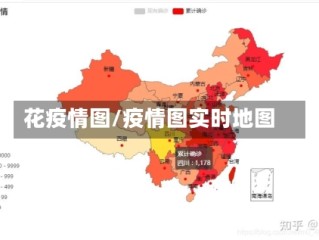 花疫情图/疫情图实时地图