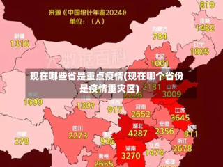 现在哪些省是重点疫情(现在哪个省份是疫情重灾区)