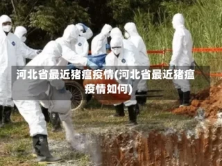 河北省最近猪瘟疫情(河北省最近猪瘟疫情如何)