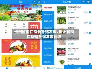 贵州省铜仁疫情补贴发放/贵州省铜仁疫情补贴发放标准