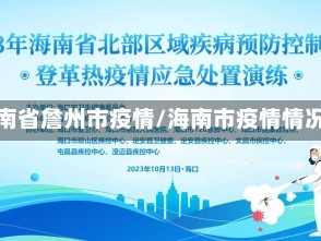 海南省詹州市疫情/海南市疫情情况