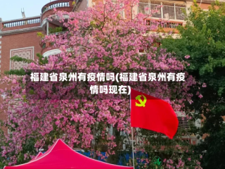 福建省泉州有疫情吗(福建省泉州有疫情吗现在)