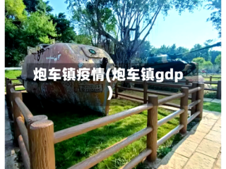 炮车镇疫情(炮车镇gdp)