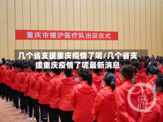 几个省支援重庆疫情了呢/几个省支援重庆疫情了呢最新消息