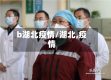 b湖北疫情/湖北,疫情