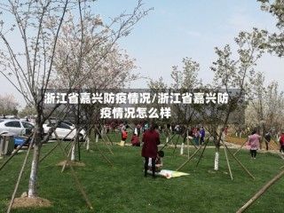 浙江省嘉兴防疫情况/浙江省嘉兴防疫情况怎么样