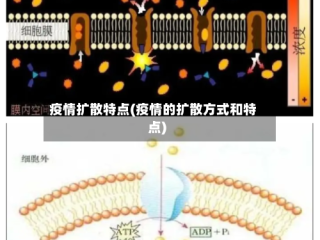 疫情扩散特点(疫情的扩散方式和特点)
