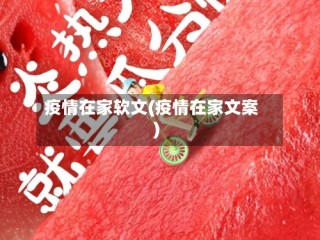 疫情在家软文(疫情在家文案)