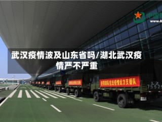 武汉疫情波及山东省吗/湖北武汉疫情严不严重