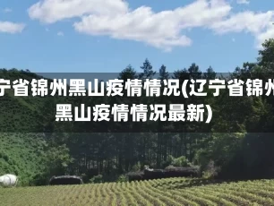 辽宁省锦州黑山疫情情况(辽宁省锦州黑山疫情情况最新)