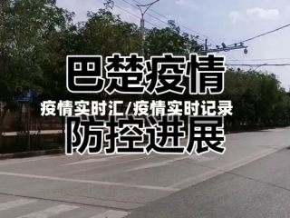 疫情实时汇/疫情实时记录