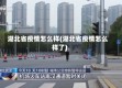 湖北省疫情怎么样(湖北省疫情怎么样了)