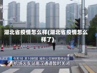 湖北省疫情怎么样(湖北省疫情怎么样了)