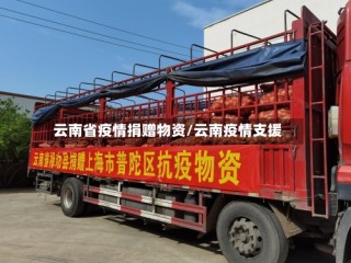 云南省疫情捐赠物资/云南疫情支援
