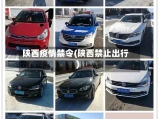 陕西疫情禁令(陕西禁止出行)