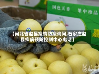 【河北省赵县疫情防疫询问,石家庄赵县疾病预防控制中心电话】