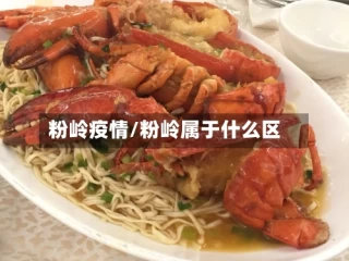 粉岭疫情/粉岭属于什么区