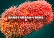 国内哪些省有猴痘疫情/中国哪有猴子