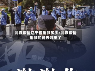 武汉疫情辽宁省捐款多少/武汉疫情捐款的钱去哪里了