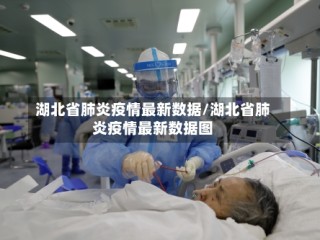 湖北省肺炎疫情最新数据/湖北省肺炎疫情最新数据图