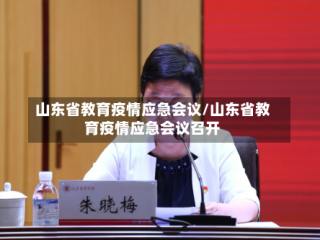 山东省教育疫情应急会议/山东省教育疫情应急会议召开