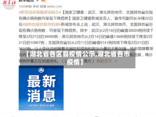【湖北省各区县疫情公示,湖北省各市疫情】