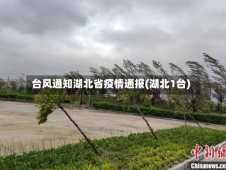 台风通知湖北省疫情通报(湖北1台)
