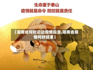 【湖南省何时启动疫情应急,湖南省疫情何时结束】