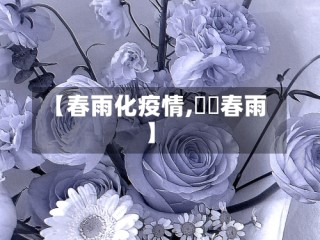 【春雨化疫情,봄비春雨】