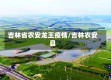 吉林省农安龙王疫情/吉林农安县