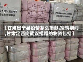 【甘肃省宁县疫情怎么捐款,疫情期间,甘肃定西向武汉捐赠的物资包括】