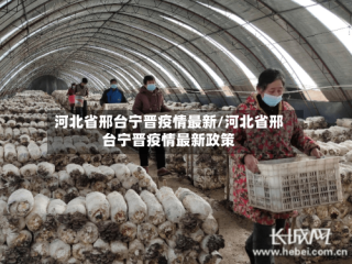 河北省邢台宁晋疫情最新/河北省邢台宁晋疫情最新政策