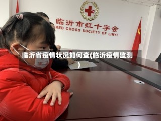 临沂省疫情状况如何查(临沂疫情监测)