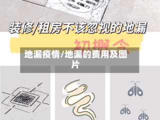 地漏疫情/地漏的费用及图片
