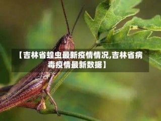 【吉林省蝗虫最新疫情情况,吉林省病毒疫情最新数据】