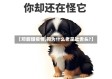 【邓甜甜疫情,狗为什么老是吐舌头?】