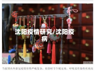 沈阳疫情研究/沈阳疫病