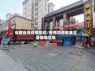 省粮食局疫情防控/疫情防疫粮食应急保障信息