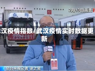 武汉疫情指数/武汉疫情实时数据更新