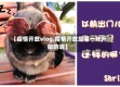 【疫情开放vlog,疫情开放是哪一年开始的呢】