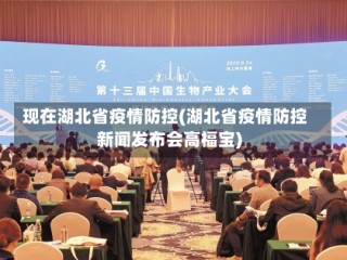 现在湖北省疫情防控(湖北省疫情防控新闻发布会高福宝)