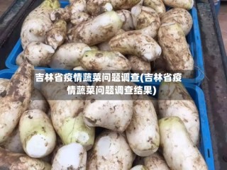 吉林省疫情蔬菜问题调查(吉林省疫情蔬菜问题调查结果)