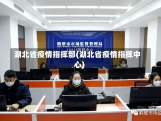 湖北省疫情指挥部(湖北省疫情指挥中心)