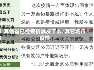 其他省已经疫情爆发了么/其它城市疫情