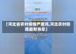 【河北省农村疫情严重吗,河北农村防疫最新消息】