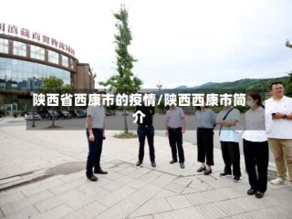 陕西省西康市的疫情/陕西西康市简介