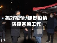 抓好疫情/抓好疫情防控各项工作