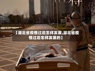 【湖北省疫情过后怎样发展,湖北省疫情过后怎样发展的】