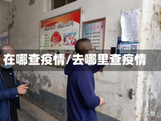 在哪查疫情/去哪里查疫情